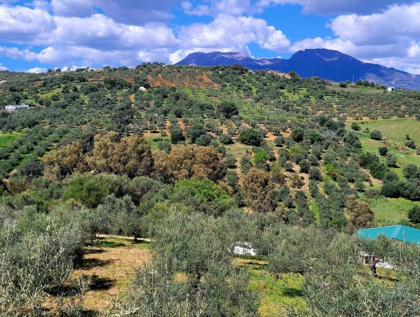 Plot for sale in Guaro, Marbella