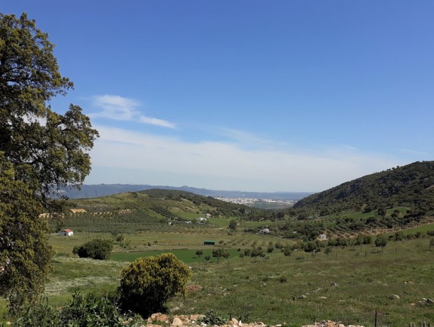 Commercial for sale in Ronda, Marbella