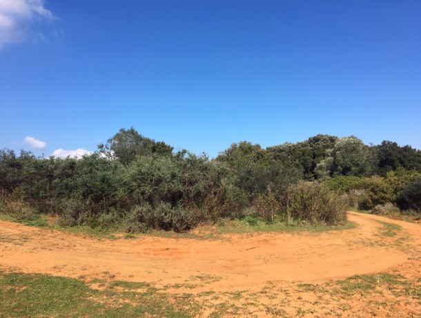 Plot for sale in Manilva, Marbella