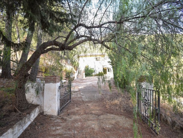 Plot for sale in Alozaina, Marbella