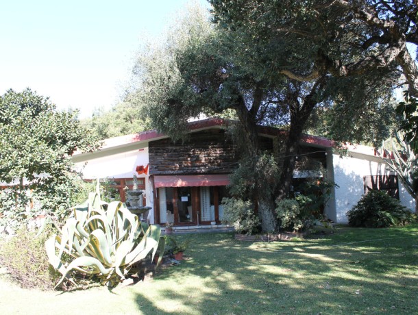 Villa for sale in Elviria, Marbella