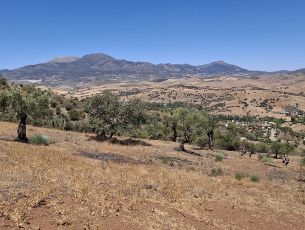Plot for sale in Coín, Marbella