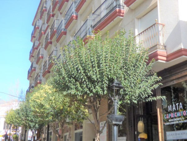 Apartment for sale in Marbella, Marbella