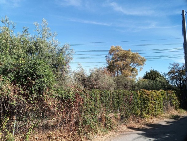 Plot for sale in Alhaurín el Grande, Marbella