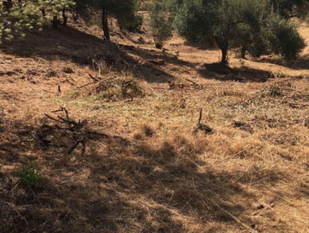 Plot for sale in Hacienda Las Chapas, Marbella