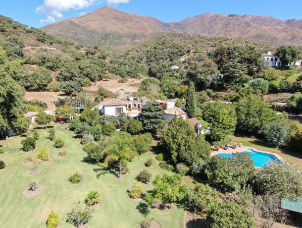 Villa for sale in Casares, Marbella