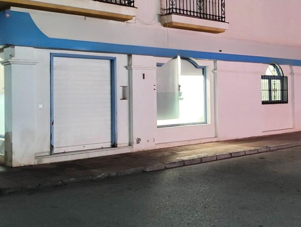 Commercial for sale in San Pedro de Alcántara, Marbella