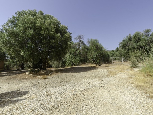 Plot for sale in Churriana, Marbella