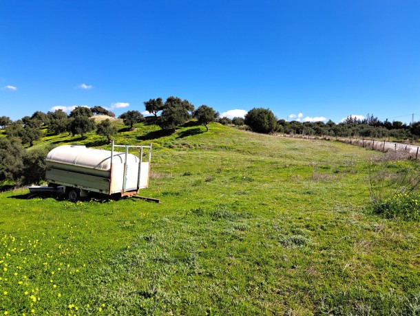Plot for sale in Coín, Marbella