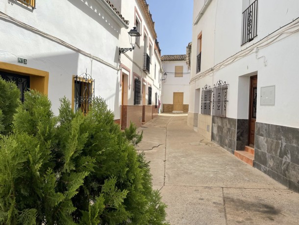 Townhouse for sale in Benaoján, Marbella