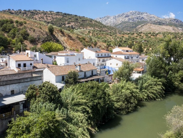 Commercial for sale in Cortes de la Frontera, Marbella