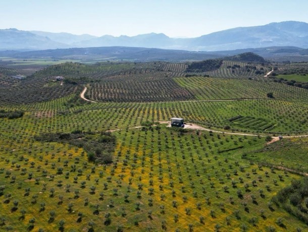 Plot for sale in Archidona, Marbella