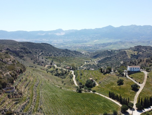 Villa for sale in Málaga, Marbella