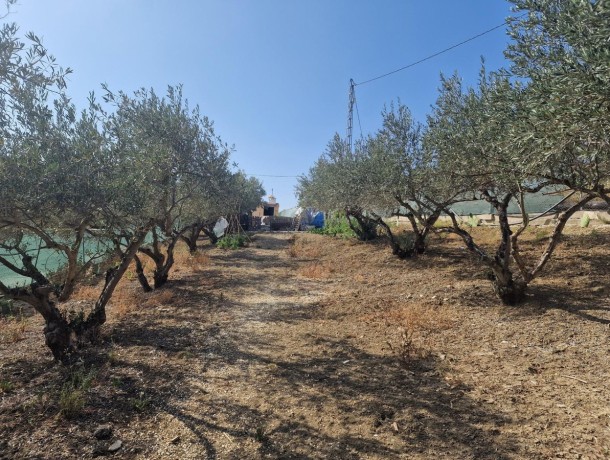 Plot for sale in Coín, Marbella