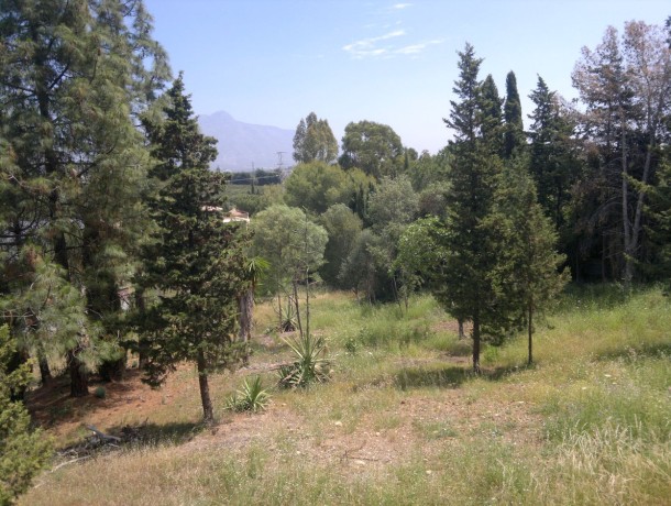 Villa for sale in Guadalmina Alta, Marbella