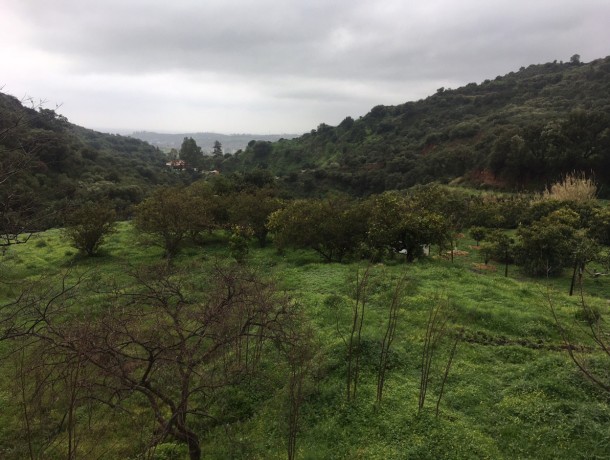 Plot for sale in Estepona, Marbella