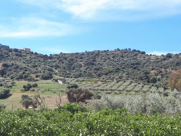 Commercial for sale in Coín, Marbella