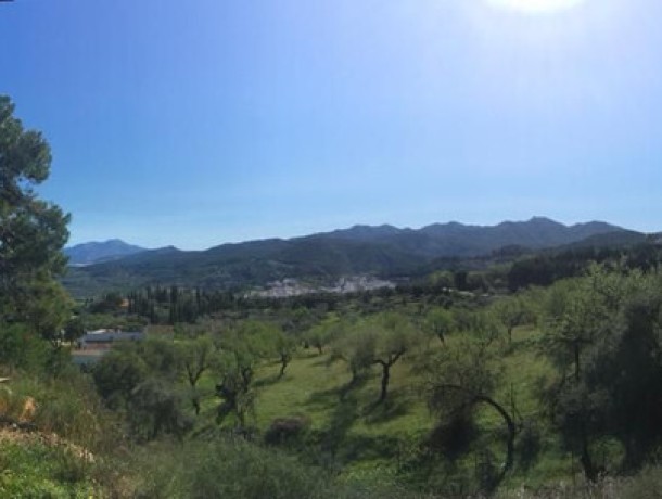 Plot for sale in Monda, Marbella
