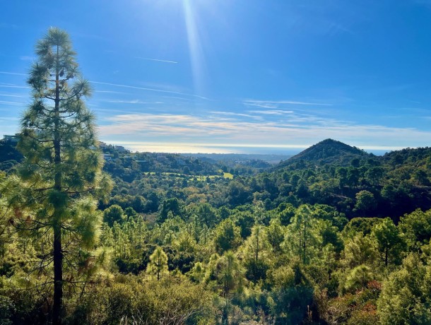Plot for sale in Benahavís, Marbella