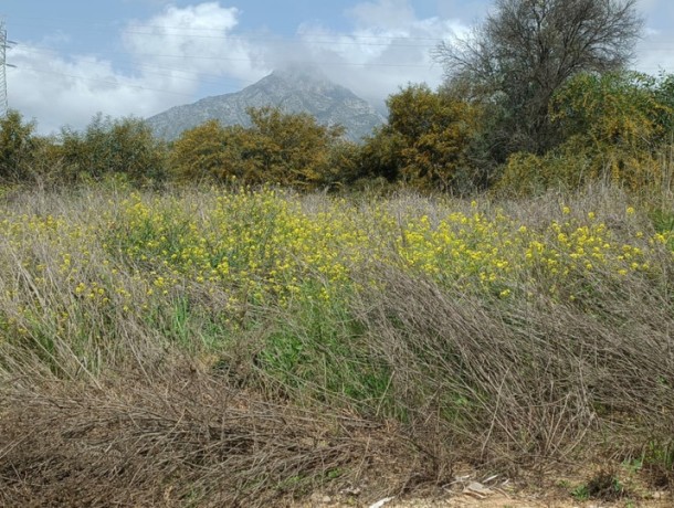 Plot for sale in The Golden Mile, Marbella