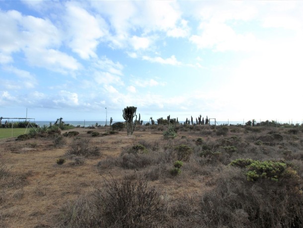 Plot for sale in Guadalmina Baja, Marbella