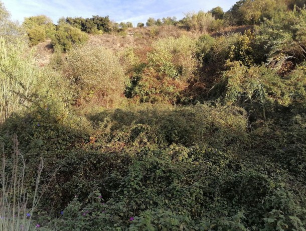 Plot for sale in Alhaurín el Grande, Marbella