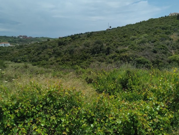 Plot for sale in Manilva, Marbella