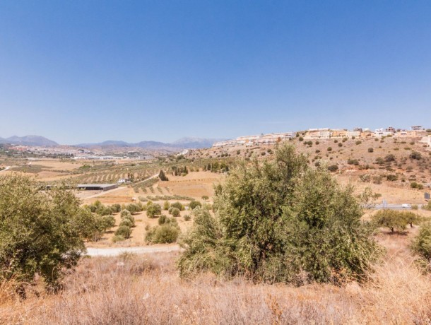 Plot for sale in Coín, Marbella