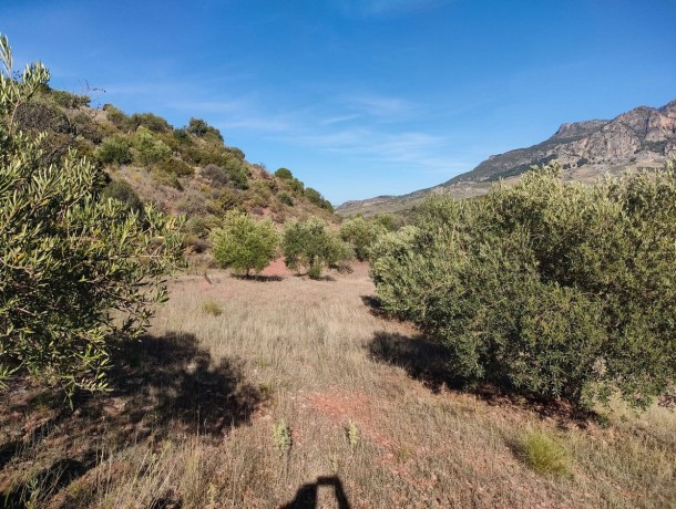 Plot for sale in El Burgo, Marbella
