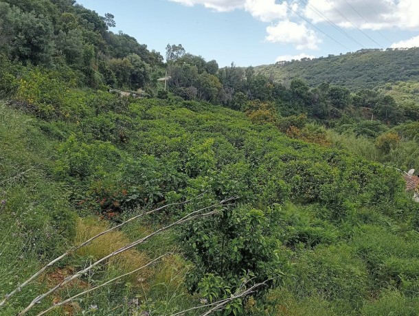 Plot for sale in Estepona, Marbella