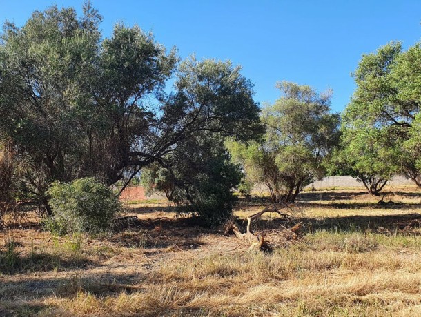Plot for sale in San Pedro de Alcántara, Marbella