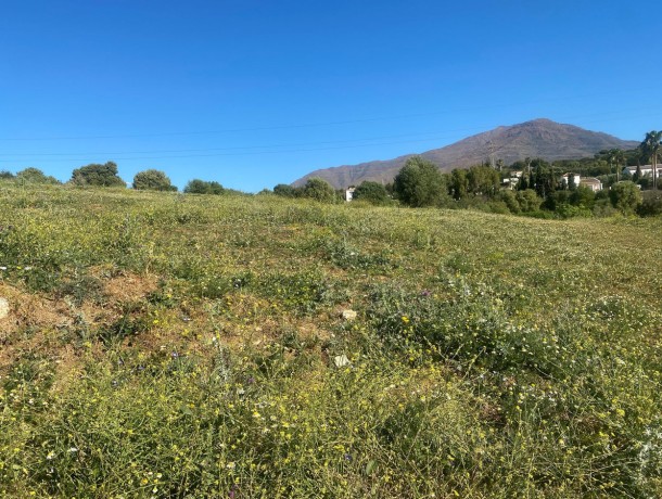 Plot for sale in Valle Romano, Marbella