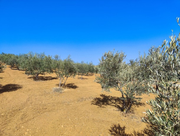 Plot for sale in Coín, Marbella