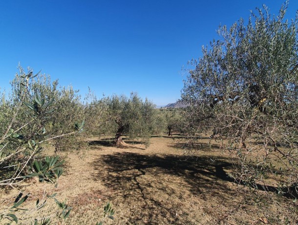 Plot for sale in Alhaurín el Grande, Marbella