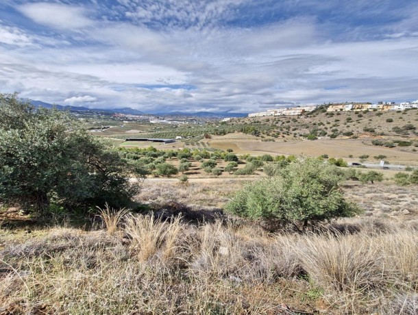 Plot for sale in Coín, Marbella