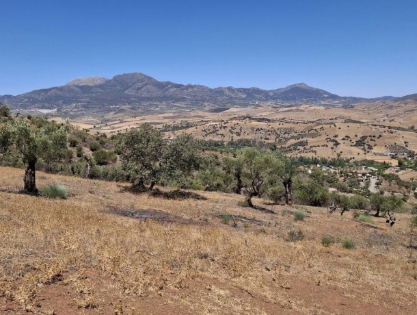 Plot for sale in Coín, Marbella