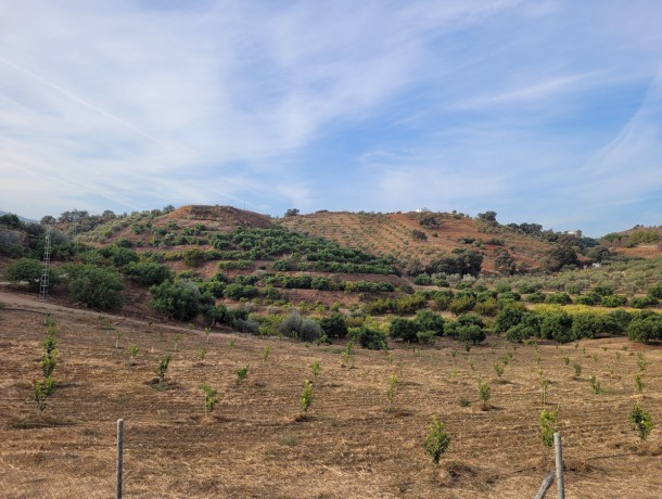 Plot for sale in Guaro, Marbella