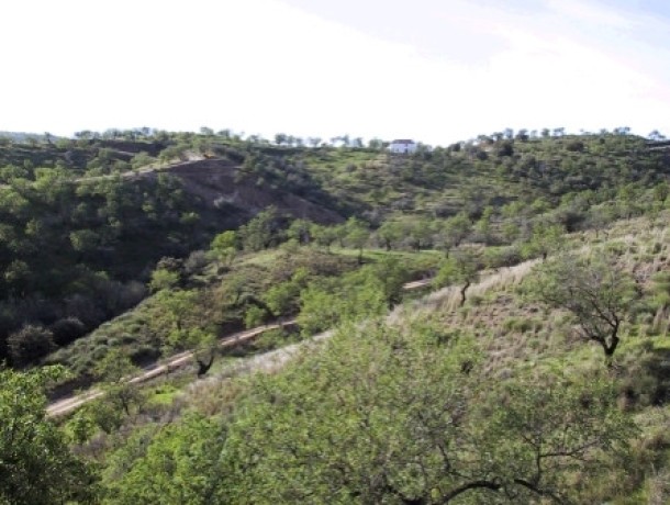 Plot for sale in Monda, Marbella