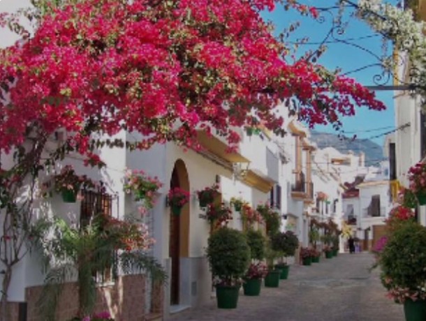 Commercial for sale in Estepona, Marbella