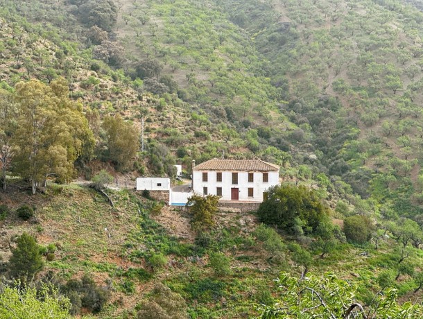 Villa for sale in Pinares de San Antón, Marbella