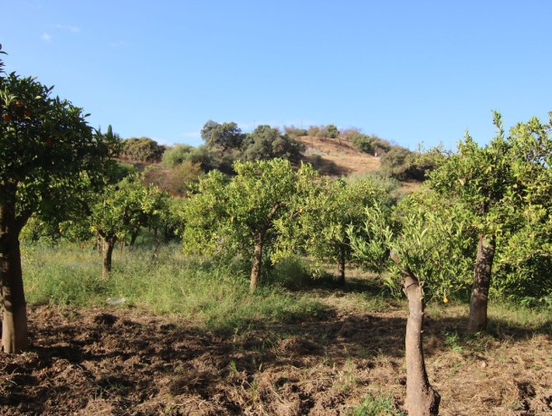 Plot for sale in Guaro, Marbella