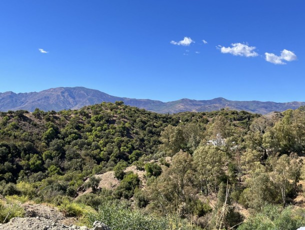 Plot for sale in Selwo, Marbella