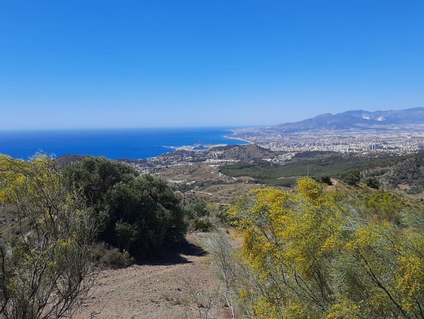 Villa for sale in Málaga Este, Marbella