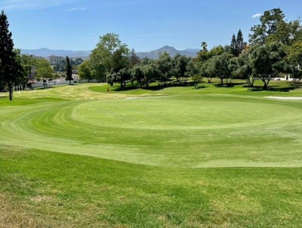 Villa for sale in San Pedro de Alcántara, Marbella
