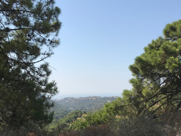 Plot for sale in Benahavís, Marbella