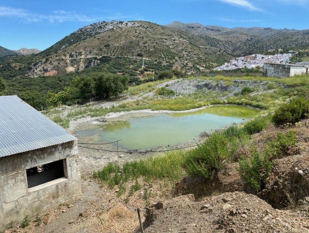 Commercial for sale in Alpandeire, Marbella