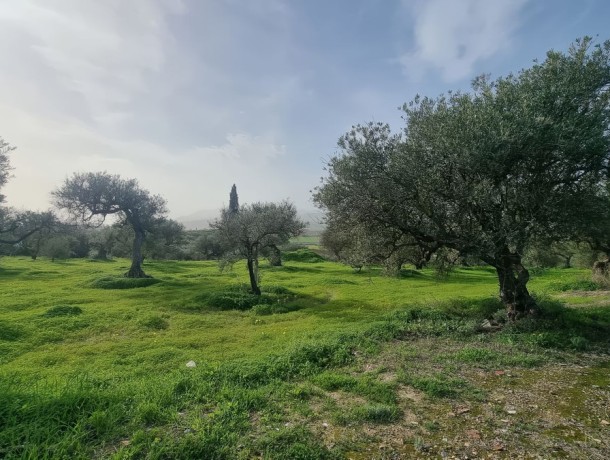Plot for sale in Alhaurín el Grande, Marbella