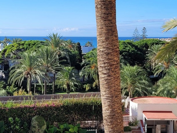 Studio for sale in Marbesa, Marbella