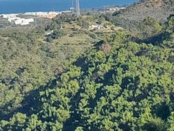 Plot for sale in Selwo, Marbella