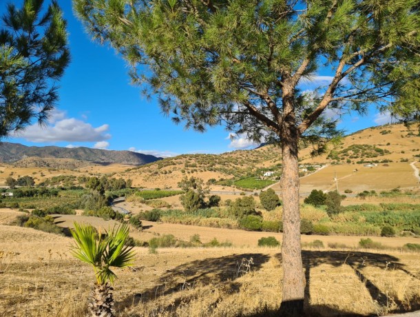 Villa for sale in Pizarra, Marbella